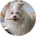 Lori Pine profile picture