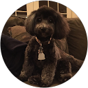 Kate Deurloo profile picture